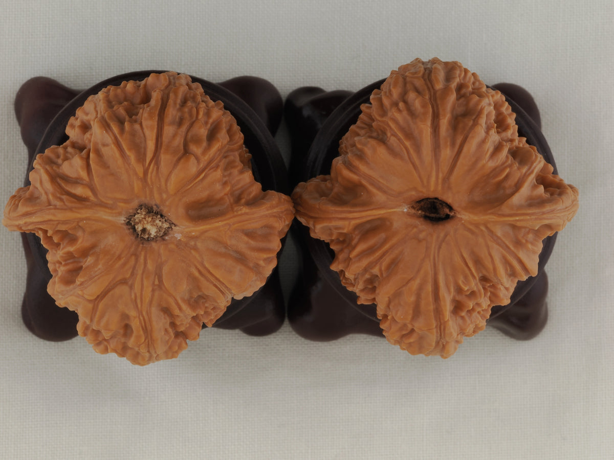 Kuancheng Lion Head walnut pair, 40 mm — WW-00024, view 6.