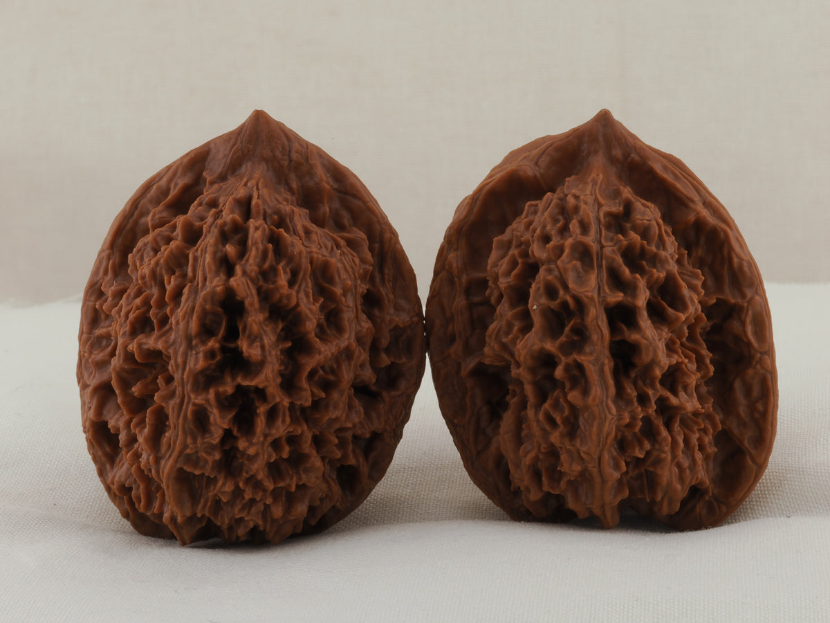 Great Thorn walnut pair, 42 mm — WW-00025, hero view.