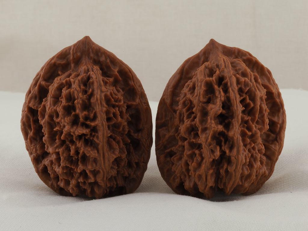 Great Thorn walnut pair, 42 mm — WW-00025, view 3.