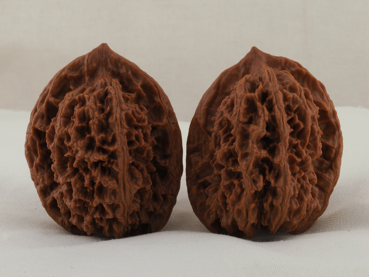 Great Thorn walnut pair, 42 mm — WW-00025, view 3.