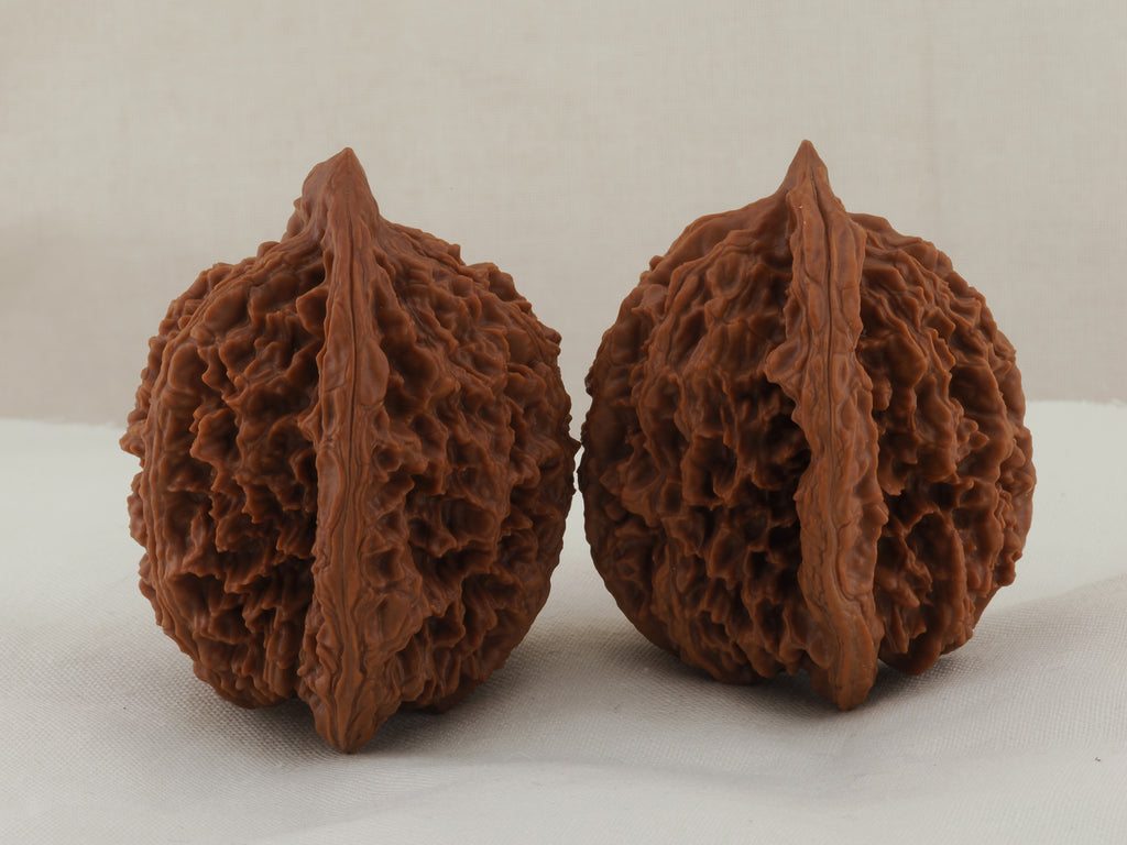 Great Thorn walnut pair, 42 mm — WW-00025, view 4.