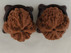 Great Thorn walnut pair, 42 mm — WW-00025, view 6.