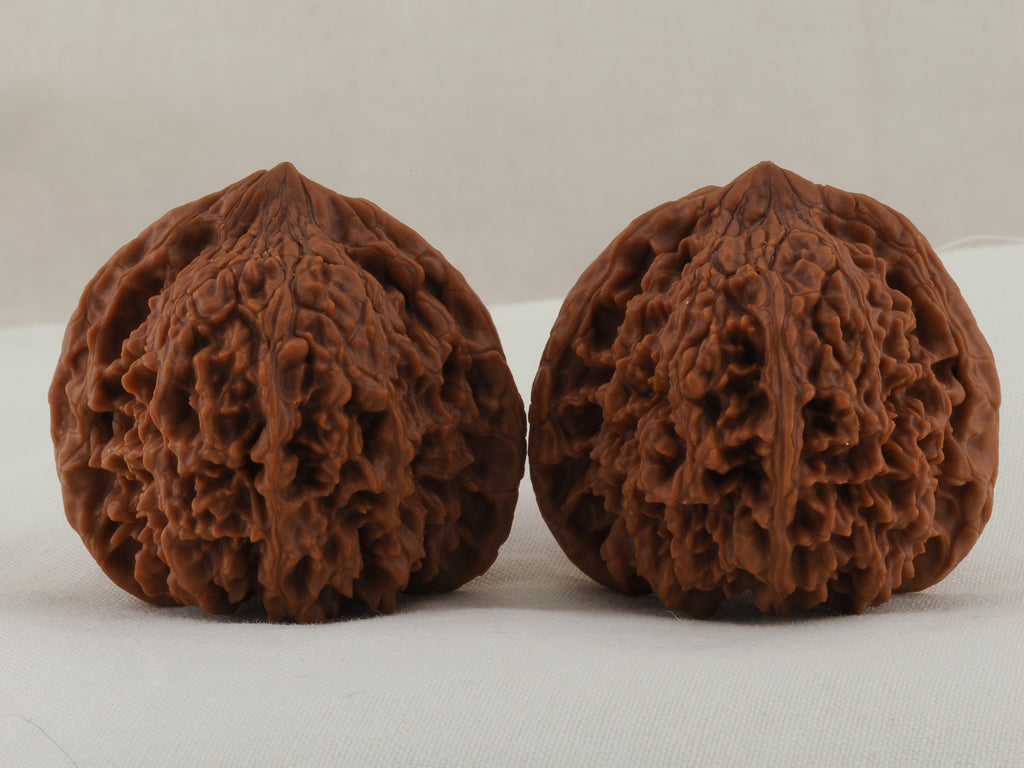Starry Sky walnut pair, 43 mm — WW-00026, hero view.