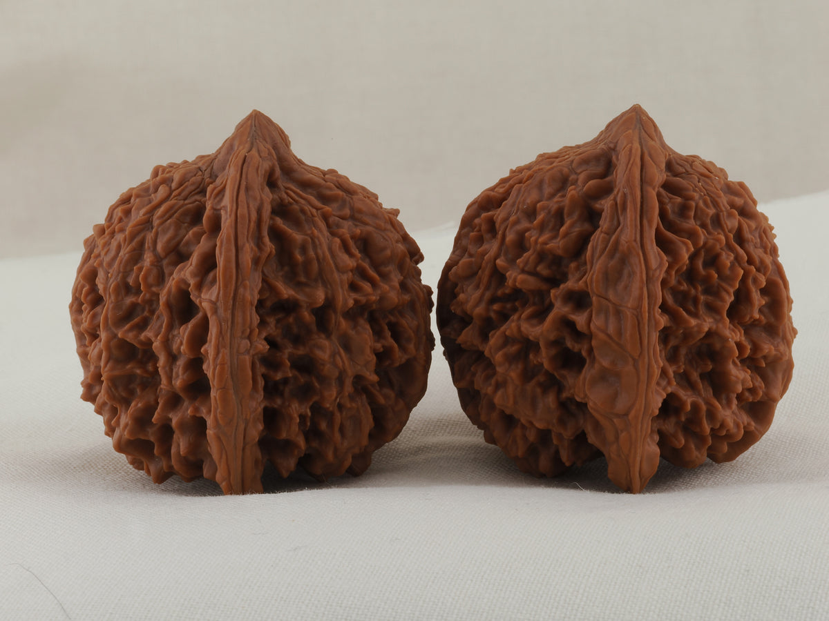 Starry Sky walnut pair, 43 mm — WW-00026, view 2.