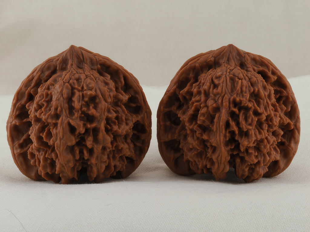 Starry Sky walnut pair, 43 mm — WW-00026, view 3.