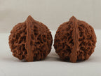 Starry Sky walnut pair, 43 mm — WW-00026, view 4.
