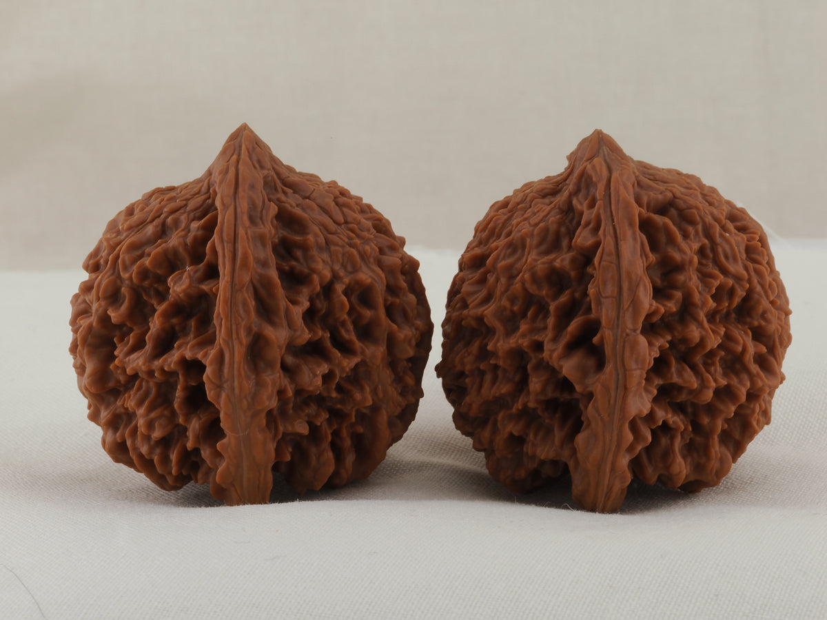 Starry Sky walnut pair, 43 mm — WW-00026, view 4.