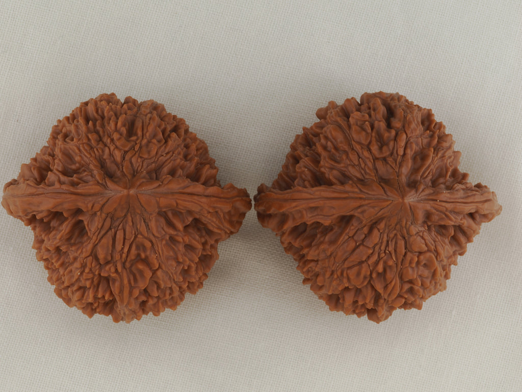 Starry Sky walnut pair, 43 mm — WW-00026, view 5.