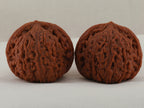 Red Bean Ground-Buried walnut pair, 36 mm — WW-00027, hero view.