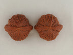 Red Bean Ground-Buried walnut pair, 36 mm — WW-00027, view 5.