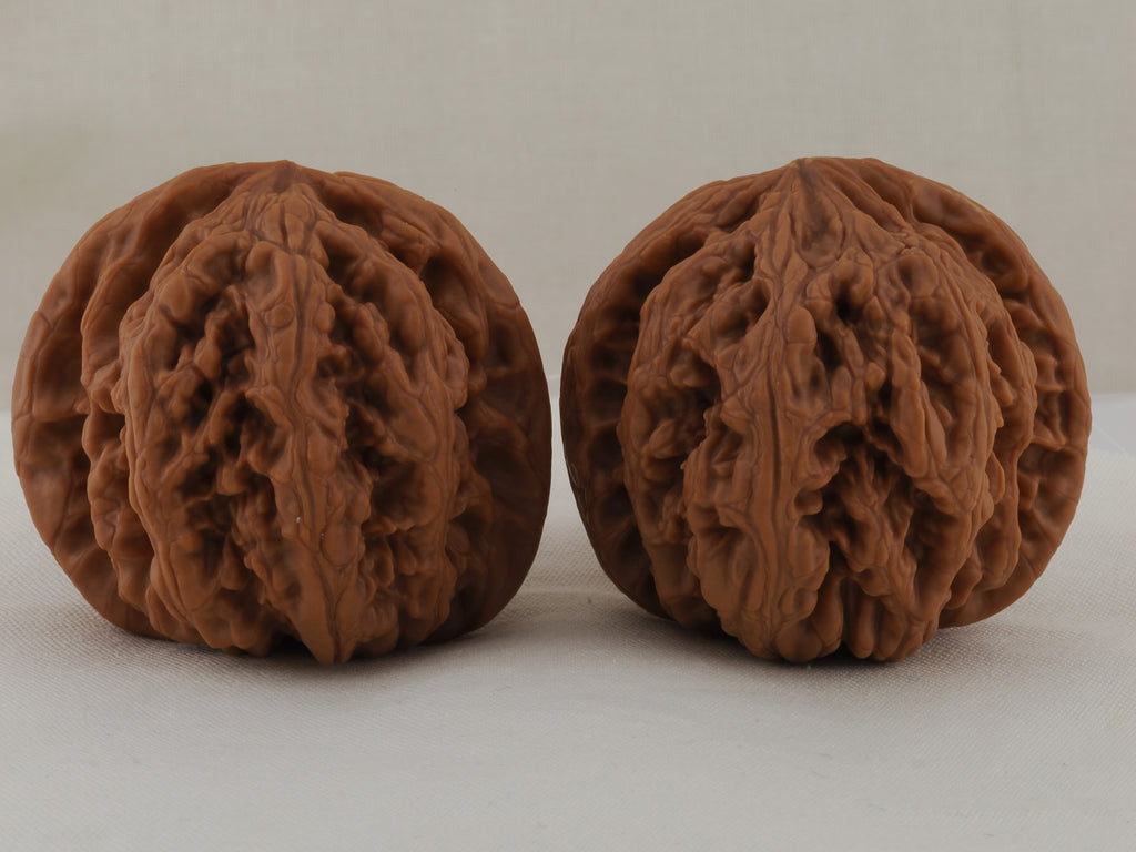 Thick Ridge walnut pair, 44 mm — WW-00028, hero view.
