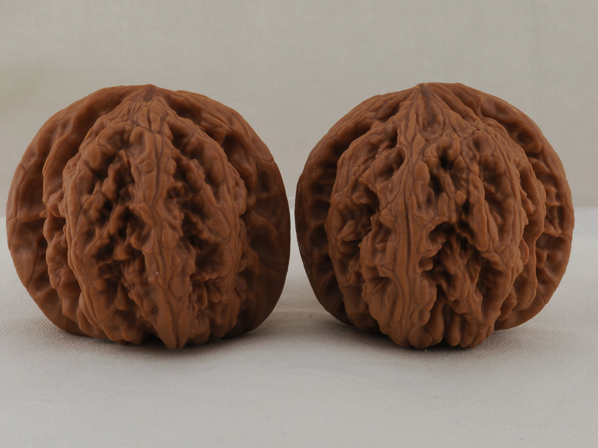 Thick Ridge walnut pair, 44 mm — WW-00028, hero view.