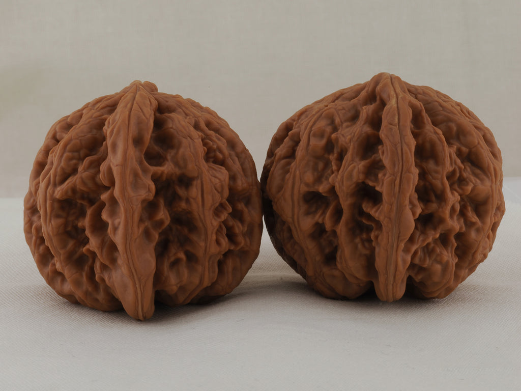 Thick Ridge walnut pair, 44 mm — WW-00028, view 2.