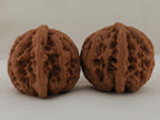 Thick Ridge walnut pair, 44 mm — WW-00028, view 2.
