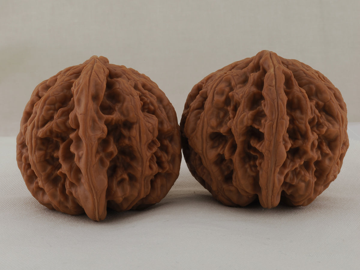 Thick Ridge walnut pair, 44 mm — WW-00028, view 2.