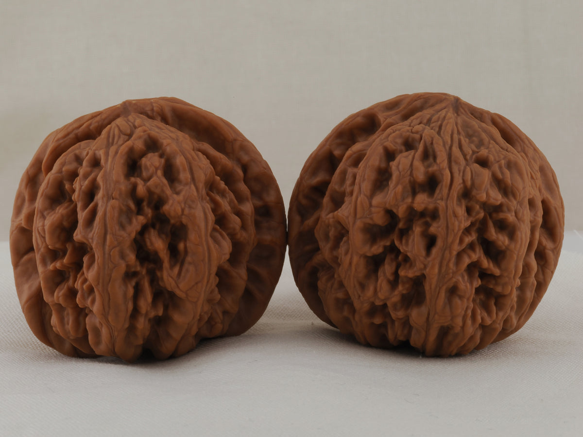 Thick Ridge walnut pair, 44 mm — WW-00028, view 3.