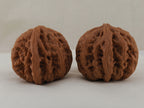 Thick Ridge walnut pair, 44 mm — WW-00028, view 4.