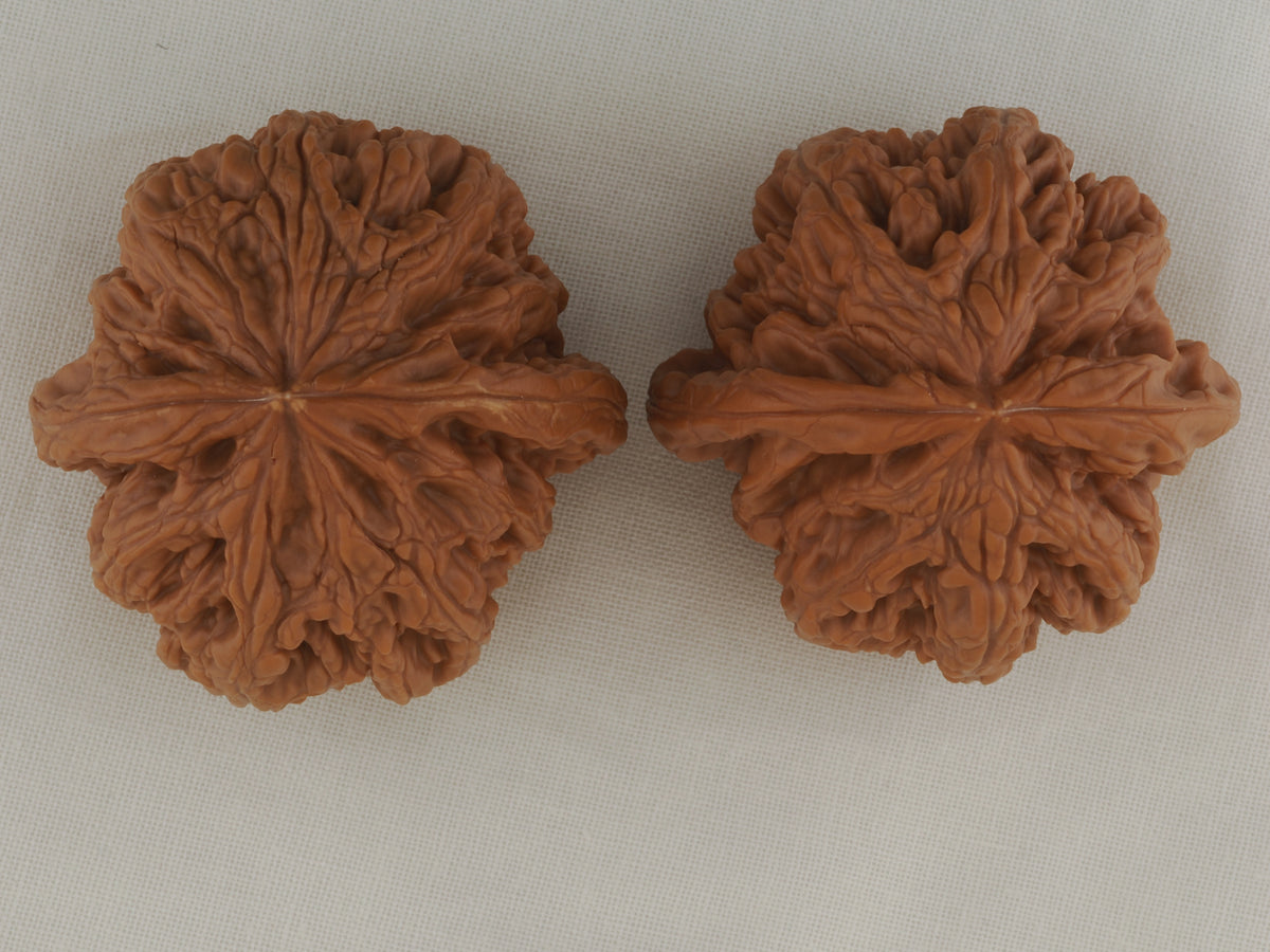 Thick Ridge walnut pair, 44 mm — WW-00028, view 5.