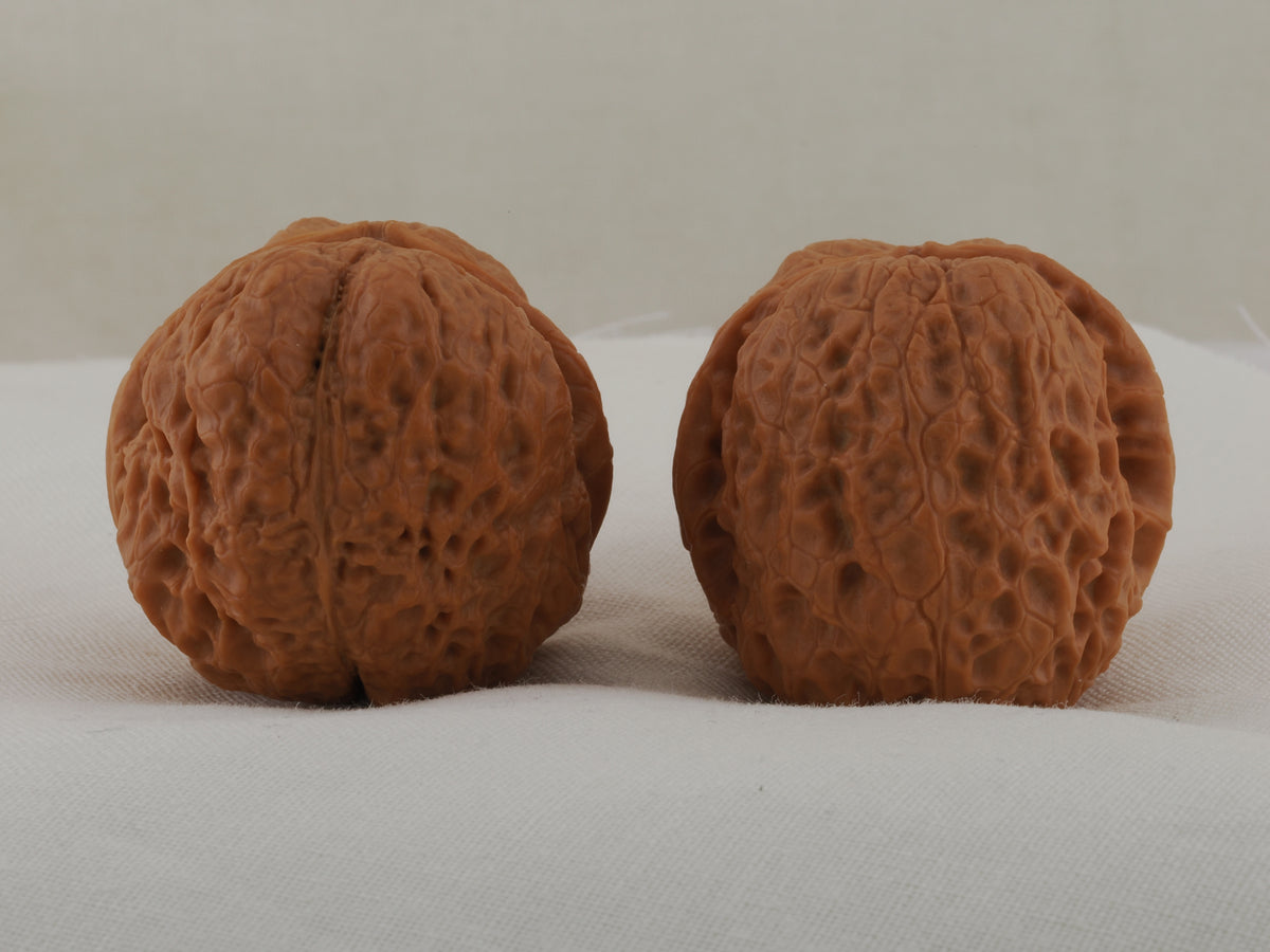 Iron Ingot walnut pair, 38 mm — WW-00029, view 2.