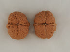 Iron Ingot walnut pair, 38 mm — WW-00029, view 6.