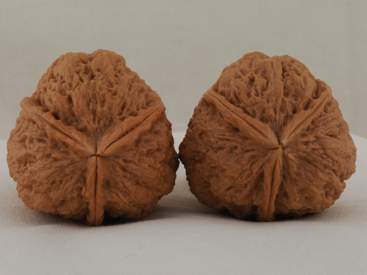 Iron Three-Ridge walnut pair, 36 mm — WW-00030, hero view.