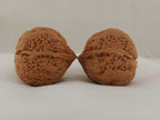 Iron Three-Ridge walnut pair, 36 mm — WW-00030, view 3.