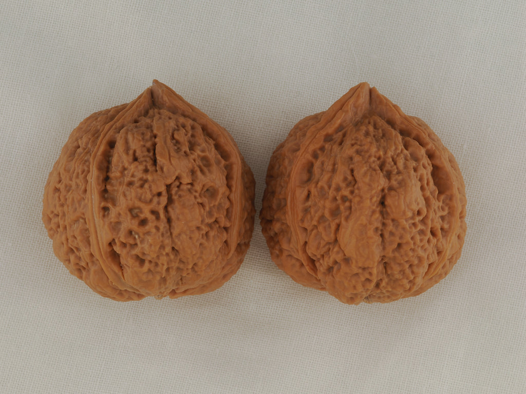 Iron Three-Ridge walnut pair, 36 mm — WW-00030, view 6.