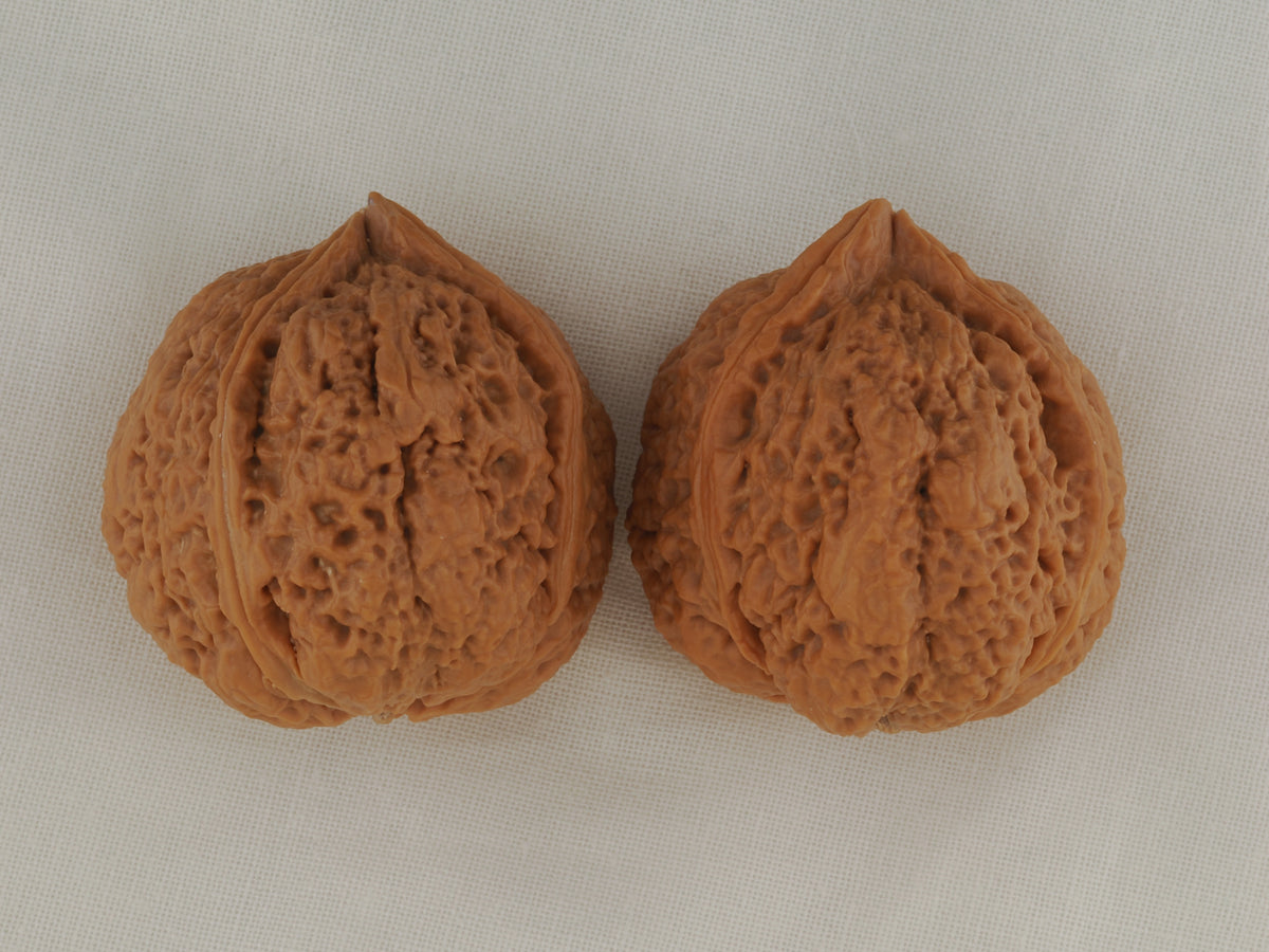 Iron Three-Ridge walnut pair, 36 mm — WW-00030, view 6.