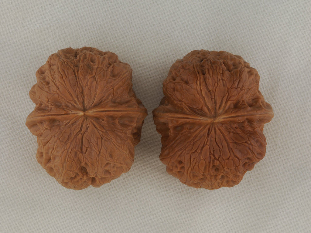 Iron Spinning Top walnut pair, 40 mm — WW-00031, hero view.