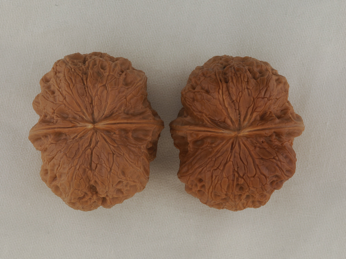 Iron Spinning Top walnut pair, 40 mm — WW-00031, hero view.