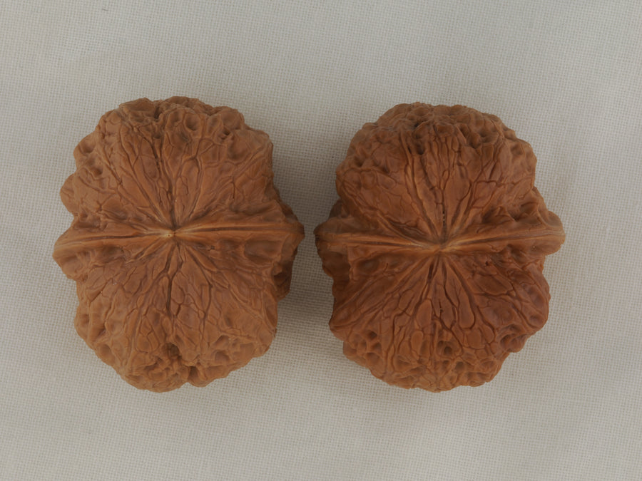 Iron Spinning Top walnut pair, 40 mm — WW-00031, hero view.