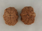 Iron Spinning Top walnut pair, 40 mm — WW-00031, view 2.