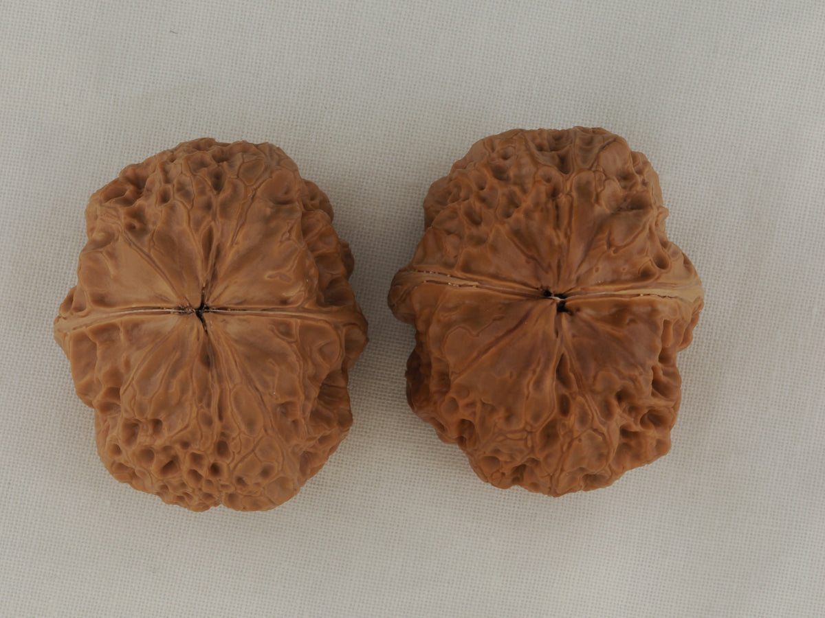 Iron Spinning Top walnut pair, 40 mm — WW-00031, view 2.
