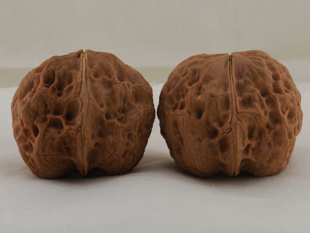 Iron Spinning Top walnut pair, 40 mm — WW-00031, view 3.