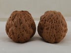 Iron Spinning Top walnut pair, 40 mm — WW-00031, view 4.