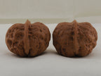 Iron Golden Toad walnut pair, 39 mm — WW-00032, view 3.