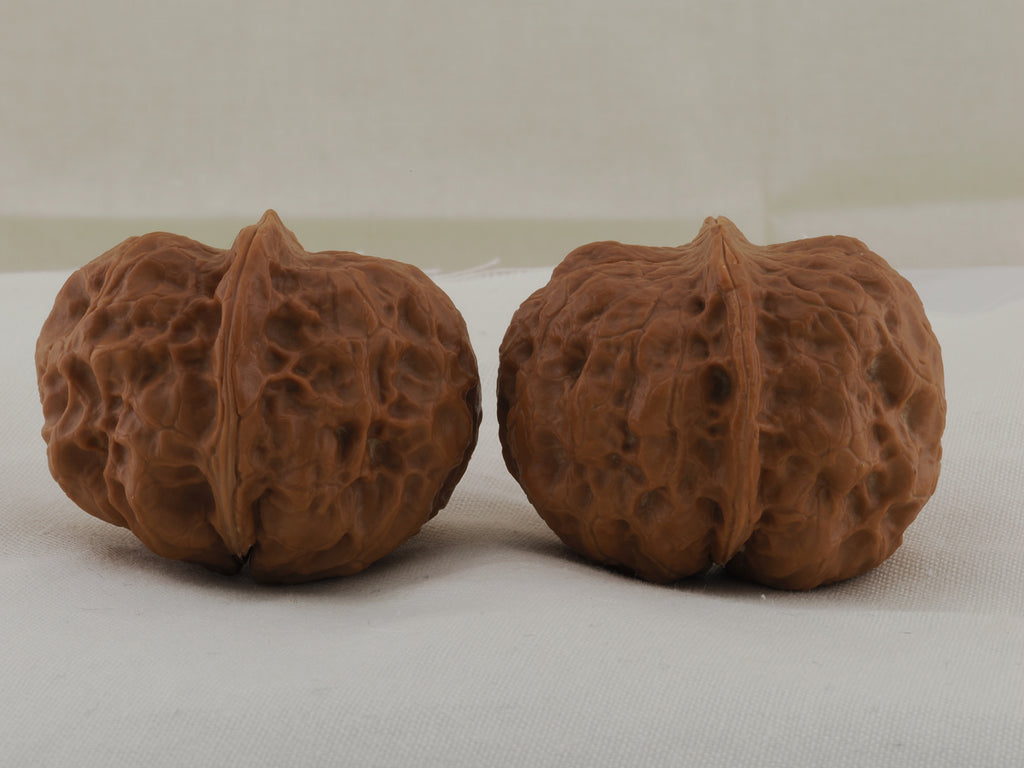 Iron Golden Toad walnut pair, 39 mm — WW-00032, view 5.