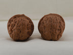 Iron Golden Toad walnut pair, 39 mm — WW-00032, view 6.