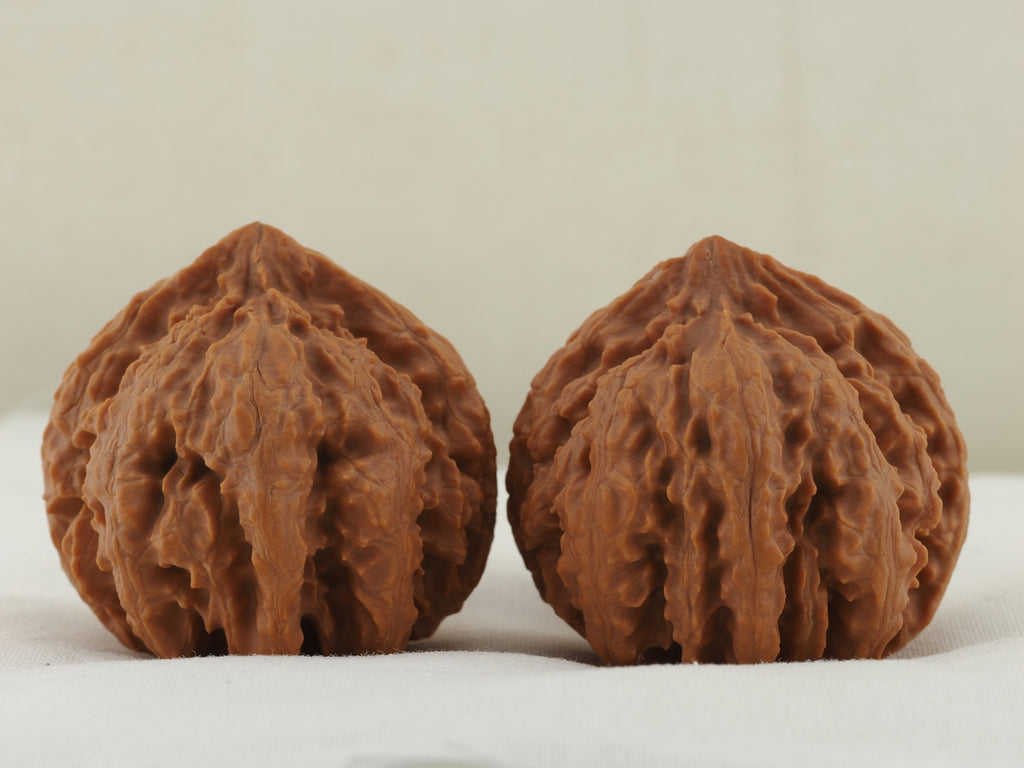 Eight Ridge King Walnut Pair — 40.0 mm (Ba Leng Wang) — Front view — WW-00033