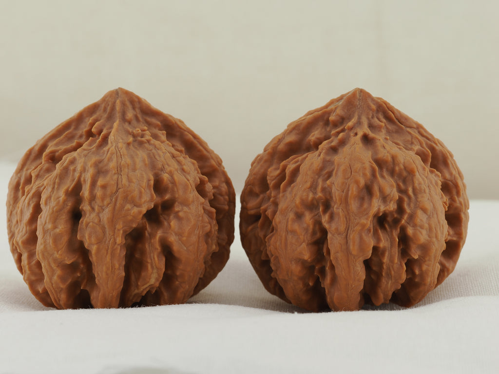 Eight Ridge King Walnut Pair — 40.0 mm (Ba Leng Wang) — Reverse view — WW-00033