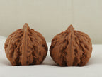 Eight Ridge King Walnut Pair — 40.0 mm (Ba Leng Wang) — Opposite side view — WW-00033