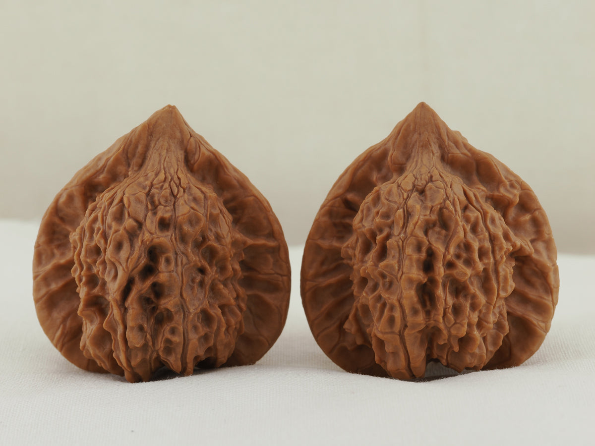 Vermilion Bird Walnut Pair — 40.0 mm (Zhu Que) — Front view — WW-00034