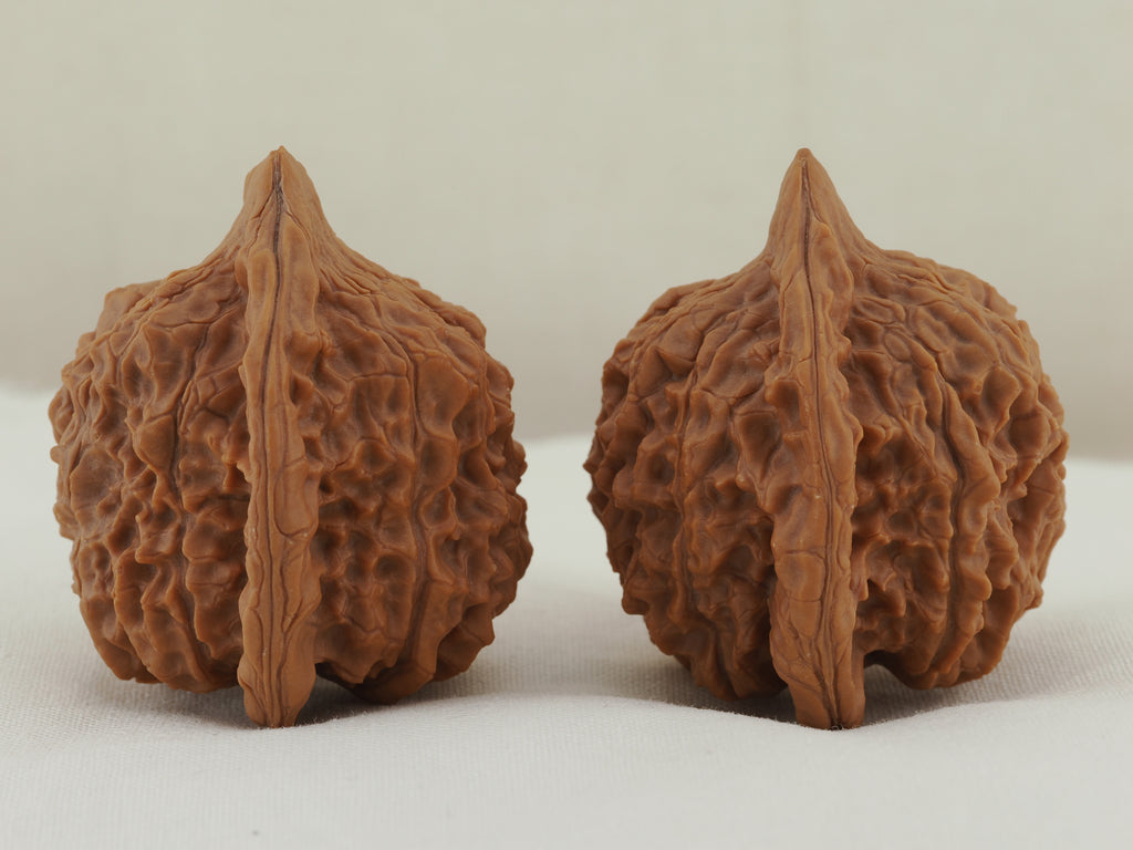 Vermilion Bird Walnut Pair — 40.0 mm (Zhu Que) — Side view — WW-00034