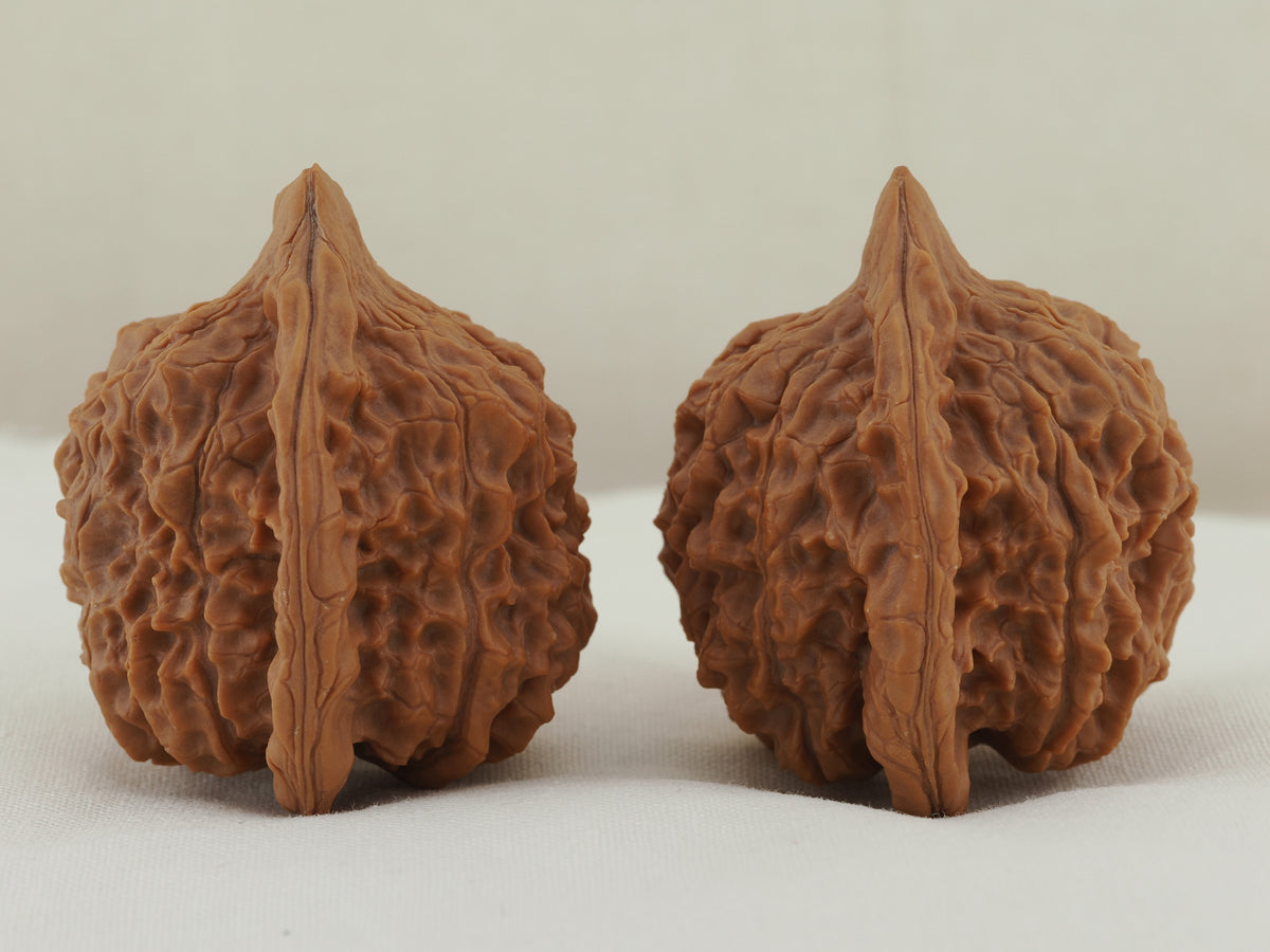 Vermilion Bird Walnut Pair — 40.0 mm (Zhu Que) — Side view — WW-00034