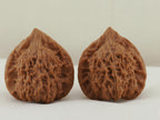 Vermilion Bird Walnut Pair — 40.0 mm (Zhu Que) — Reverse view — WW-00034