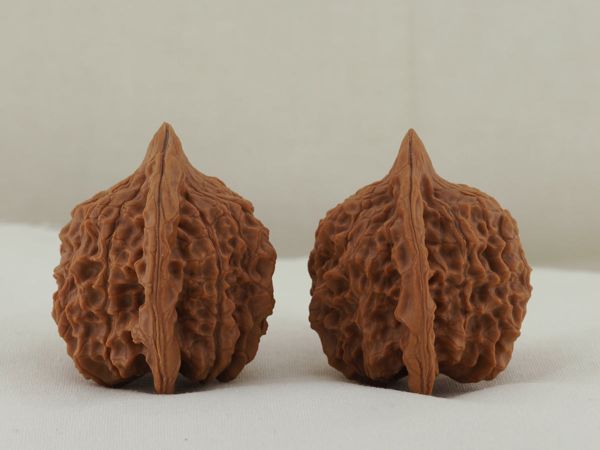 Vermilion Bird Walnut Pair — 40.0 mm (Zhu Que) — Opposite side view — WW-00034