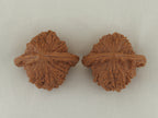 Vermilion Bird Walnut Pair — 40.0 mm (Zhu Que) — Crown view — WW-00034