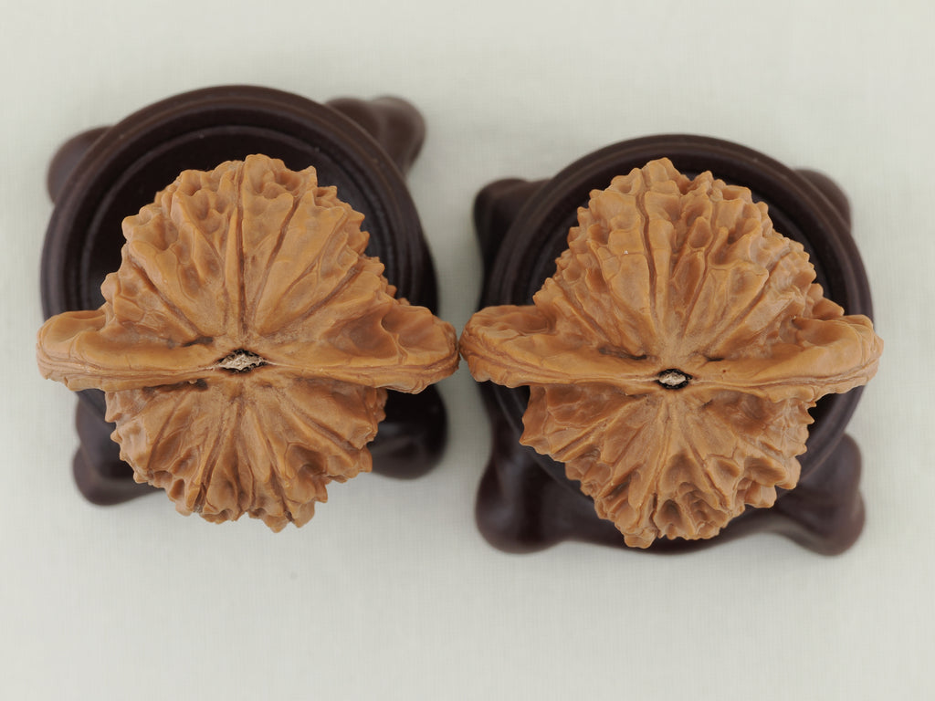 Vermilion Bird Walnut Pair — 40.0 mm (Zhu Que) — Base view — WW-00034