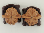 Vermilion Bird Walnut Pair — 40.0 mm (Zhu Que) — Base view — WW-00034