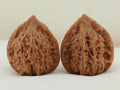 Vermilion Bird Walnut Pair — 40.0 mm (Zhu Que) — Front view — WW-00035